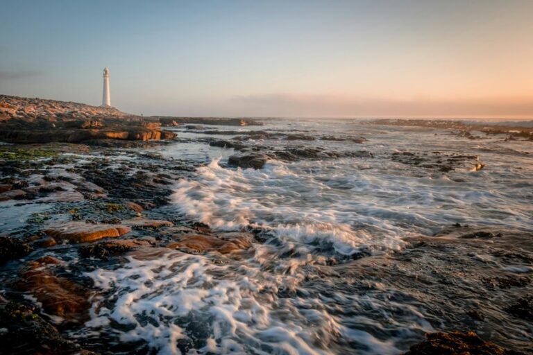 commercial signal discovery report